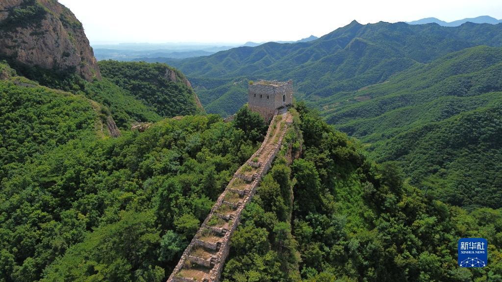 天發娱乐